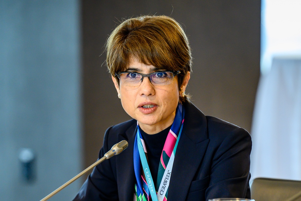 Photo of Pratima Rangarajan, CEO Climate Investment