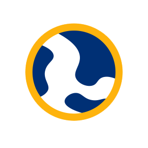 Globe icon
