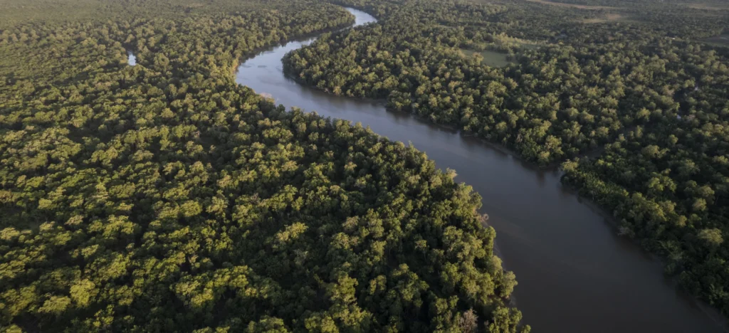 Brazil’s Amazon rainforest Credit: Anderson Coelho E+ pela Getty Images